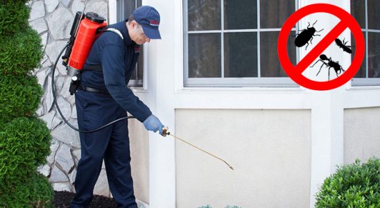 Aziziye Kene İlaçlama böcek ilaçlama ve haşere kontrolü — ilaclama-tr.com